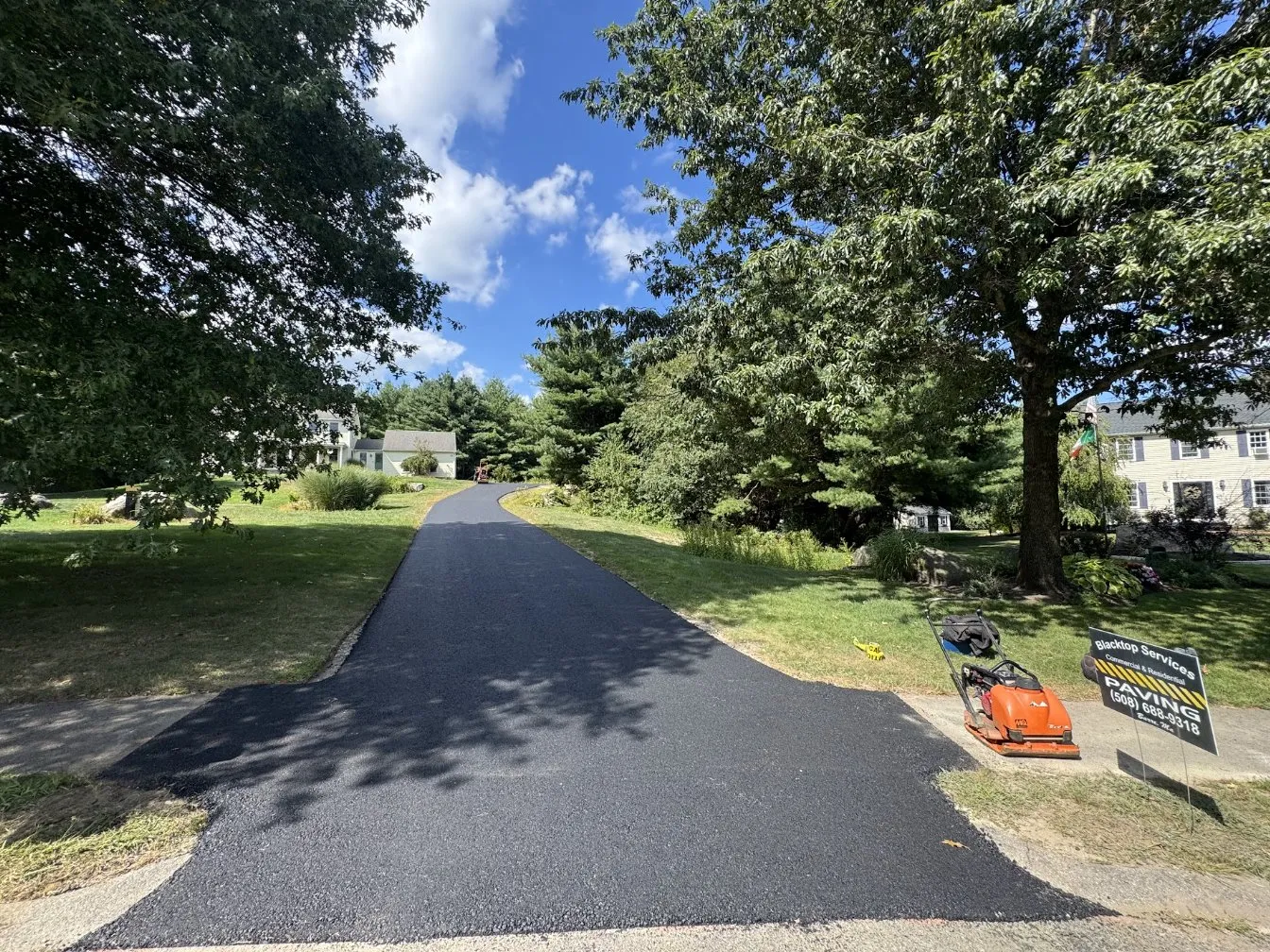 Freshly paved residential asphalt driveway lined with lush green trees